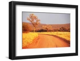 Bush-Andrushko Galyna-Framed Photographic Print