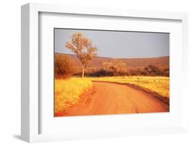 Bush-Andrushko Galyna-Framed Photographic Print