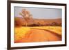 Bush-Andrushko Galyna-Framed Photographic Print