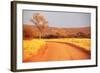 Bush-Andrushko Galyna-Framed Photographic Print