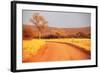 Bush-Andrushko Galyna-Framed Photographic Print