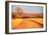 Bush-Andrushko Galyna-Framed Photographic Print