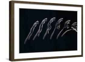 Bushbaby Jumping Sequence Image-John Downer-Framed Photographic Print