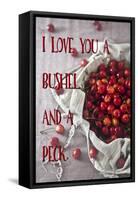 Bushel and a Peck-Tina Lavoie-Framed Stretched Canvas
