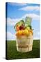 Bushel Full of Organic Fruits and Vegetables-Lew Robertson-Stretched Canvas