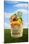 Bushel Full of Organic Fruits and Vegetables-Lew Robertson-Mounted Photographic Print