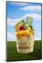 Bushel Full of Organic Fruits and Vegetables-Lew Robertson-Mounted Photographic Print