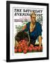 "Bushel of Apples," Saturday Evening Post Cover, November 14, 1931-John E. Sheridan-Framed Giclee Print