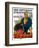 "Bushel of Apples," Saturday Evening Post Cover, November 14, 1931-John E. Sheridan-Framed Giclee Print