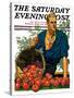"Bushel of Apples," Saturday Evening Post Cover, November 14, 1931-John E. Sheridan-Stretched Canvas