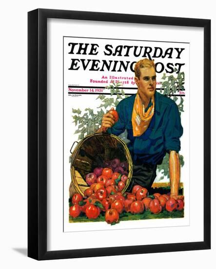 "Bushel of Apples," Saturday Evening Post Cover, November 14, 1931-John E. Sheridan-Framed Giclee Print