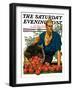 "Bushel of Apples," Saturday Evening Post Cover, November 14, 1931-John E. Sheridan-Framed Giclee Print