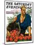 "Bushel of Apples," Saturday Evening Post Cover, November 14, 1931-John E. Sheridan-Mounted Giclee Print