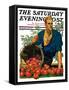 "Bushel of Apples," Saturday Evening Post Cover, November 14, 1931-John E. Sheridan-Framed Stretched Canvas
