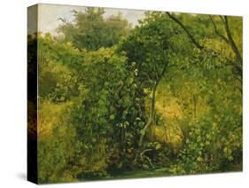 Bushes at Pillnitz, C.1818-28-Karl Gustav Carus-Stretched Canvas