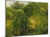 Bushes at Pillnitz, C.1818-28-Karl Gustav Carus-Mounted Giclee Print