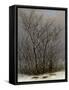 Bushes in the Snow-Caspar David Friedrich-Framed Stretched Canvas
