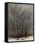 Bushes in the Snow-Caspar David Friedrich-Framed Stretched Canvas