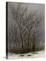 Bushes in the Snow-Caspar David Friedrich-Stretched Canvas