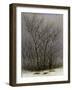 Bushes in the Snow-Caspar David Friedrich-Framed Giclee Print