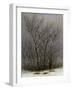 Bushes in the Snow-Caspar David Friedrich-Framed Giclee Print