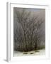 Bushes in the Snow-Caspar David Friedrich-Framed Giclee Print