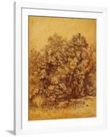 Bushes Shrubs by a Pond-null-Framed Giclee Print