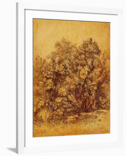 Bushes Shrubs by a Pond-null-Framed Giclee Print