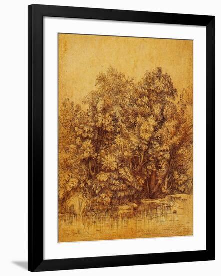 Bushes Shrubs by a Pond-null-Framed Giclee Print