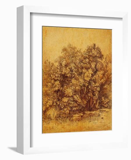 Bushes Shrubs by a Pond-null-Framed Giclee Print