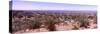 Bushland, Albuquerque, New Mexico, USA-null-Stretched Canvas