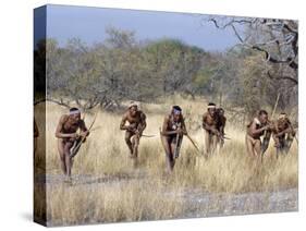 Bushman Hunter-Gatherers Makes Stealthy Approach Towards an Antelope, Bows and Arrows at Ready-Nigel Pavitt-Stretched Canvas