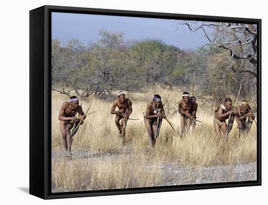 Bushman Hunter-Gatherers Makes Stealthy Approach Towards an Antelope, Bows and Arrows at Ready-Nigel Pavitt-Framed Stretched Canvas