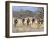 Bushman Hunter-Gatherers Makes Stealthy Approach Towards an Antelope, Bows and Arrows at Ready-Nigel Pavitt-Framed Photographic Print