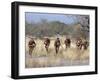 Bushman Hunter-Gatherers Makes Stealthy Approach Towards an Antelope, Bows and Arrows at Ready-Nigel Pavitt-Framed Photographic Print