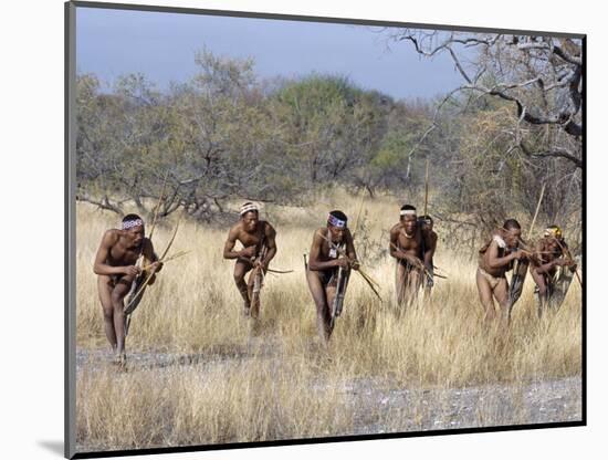 Bushman Hunter-Gatherers Makes Stealthy Approach Towards an Antelope, Bows and Arrows at Ready-Nigel Pavitt-Mounted Photographic Print