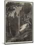 Bushman's Cave, Eland Berg, Kat River, South Africa-Thomas Baines-Mounted Giclee Print