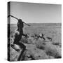 Bushman Throwing His Spear at a Winded Gemsbok, While His Dogs Circle It-null-Stretched Canvas