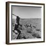 Bushman Throwing His Spear at a Winded Gemsbok, While His Dogs Circle It-null-Framed Photographic Print