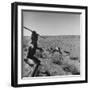 Bushman Throwing His Spear at a Winded Gemsbok, While His Dogs Circle It-null-Framed Photographic Print