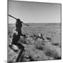 Bushman Throwing His Spear at a Winded Gemsbok, While His Dogs Circle It-null-Mounted Photographic Print