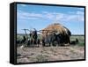 Bushmen, Kalahari, Botswana, Africa-Robin Hanbury-tenison-Framed Stretched Canvas