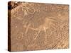 Bushmen Petroglyphs, Twyfelfontein Rock Art Site, UNESCO World Heritage Site, Damaraland, Namibia-Kim Walker-Stretched Canvas