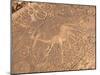 Bushmen Petroglyphs, Twyfelfontein Rock Art Site, UNESCO World Heritage Site, Damaraland, Namibia-Kim Walker-Mounted Photographic Print