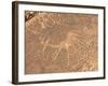 Bushmen Petroglyphs, Twyfelfontein Rock Art Site, UNESCO World Heritage Site, Damaraland, Namibia-Kim Walker-Framed Photographic Print