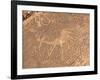 Bushmen Petroglyphs, Twyfelfontein Rock Art Site, UNESCO World Heritage Site, Damaraland, Namibia-Kim Walker-Framed Photographic Print