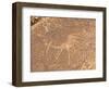 Bushmen Petroglyphs, Twyfelfontein Rock Art Site, UNESCO World Heritage Site, Damaraland, Namibia-Kim Walker-Framed Photographic Print