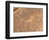 Bushmen Petroglyphs, Twyfelfontein Rock Art Site, UNESCO World Heritage Site, Damaraland, Namibia-Kim Walker-Framed Photographic Print