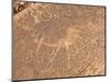 Bushmen Petroglyphs, Twyfelfontein Rock Art Site, UNESCO World Heritage Site, Damaraland, Namibia-Kim Walker-Mounted Photographic Print
