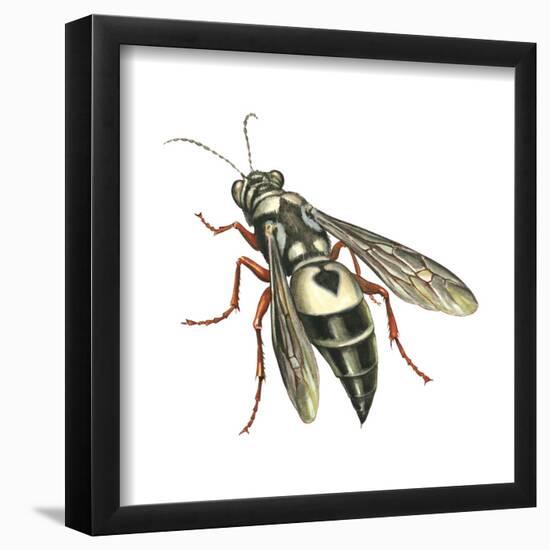 Bushnell's Wasp, Insects-Encyclopaedia Britannica-Framed Poster